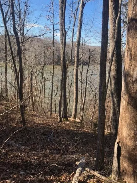 Pittsville, VA 24139,LOT 18 WATERSIDE TER