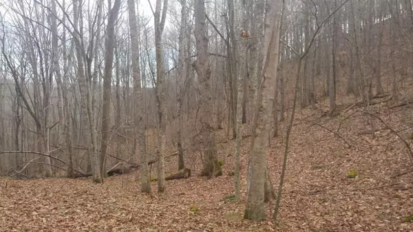 Max Meadows, VA 24360,0 Springdale DR