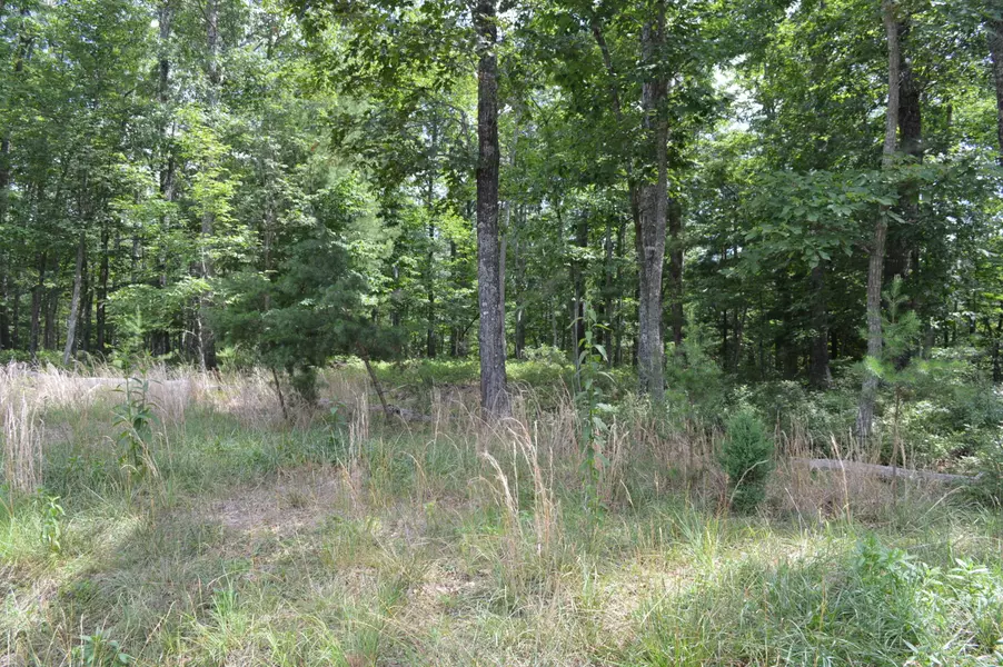 Lot 97 Black Diamond DR, New Castle, VA 24127