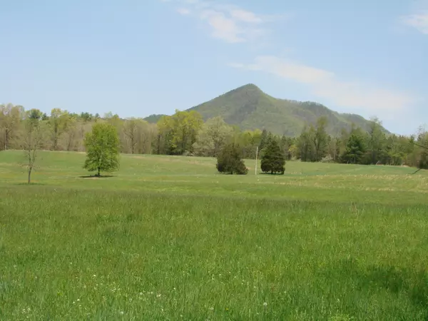 Clifton Forge, VA 24422,00 Red Hill RD