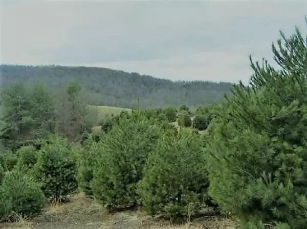 Floyd, VA 24091,Tract 3 Black Ridge RD