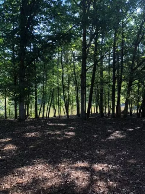 Moneta, VA 24121,Lot 57 Lakewatch CIR