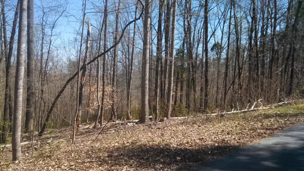 Lot 3 Creeden DR, Moneta, VA 24121