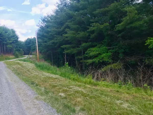 Riner, VA 24149,0 Little River Crossing NW