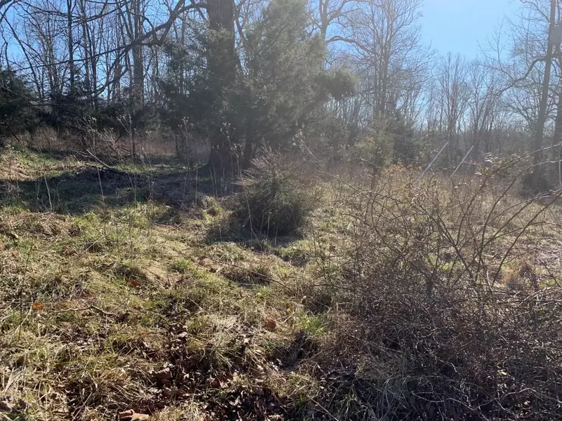 Lot A Huntington DR, Bedford, VA 24523