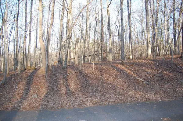 Moneta, VA 24121,Lot 90 Summerset DR