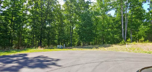 Moneta, VA 24121,Lot 18 Sunview CIR