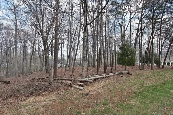 Penhook, VA 24137,Lot 329 Morgans Mill DR