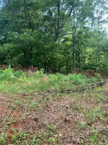 LOT 100 LYNVILLE DR, Hardy, VA 24101