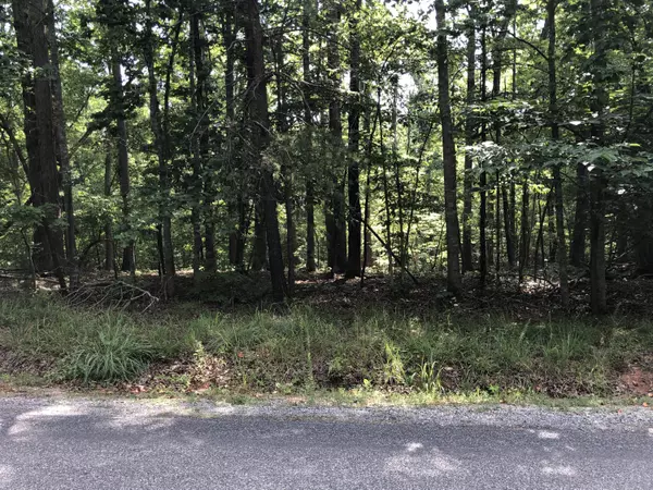 Moneta, VA 24121,Lot 62 Buccaneer RD