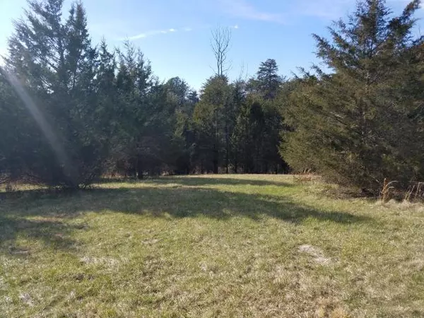 Wirtz, VA 24184,Lot 42 Halsey CT