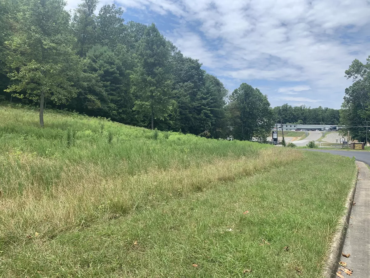 Rocky Mount, VA 24151,Lot 1 Mountain Top DR