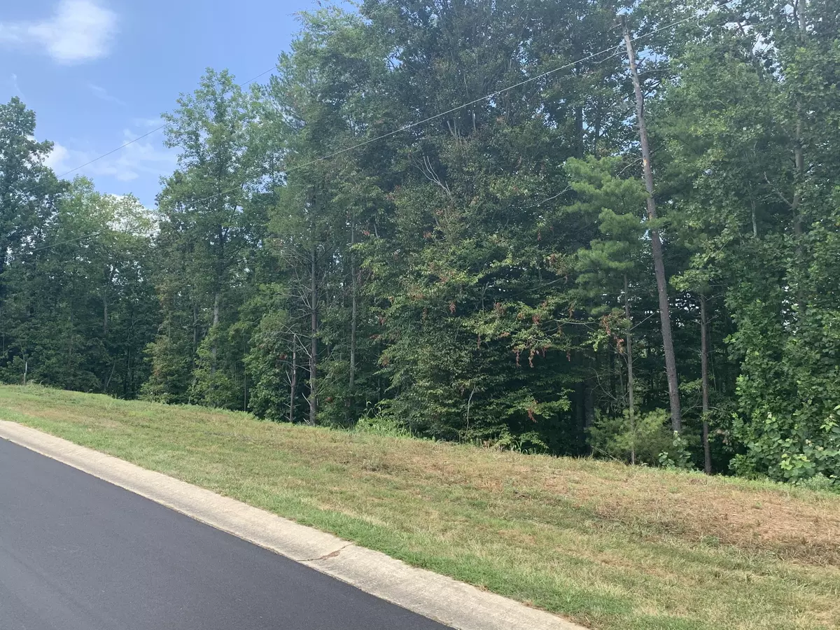 Rocky Mount, VA 24151,Lot 11 Mountain Top DR