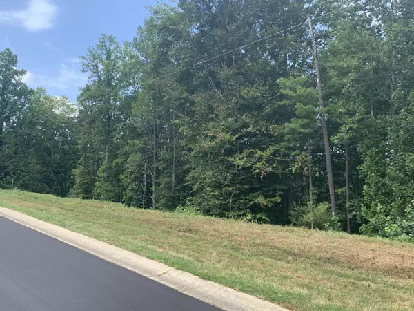 Lot 11 Mountain Top DR, Rocky Mount, VA 24151