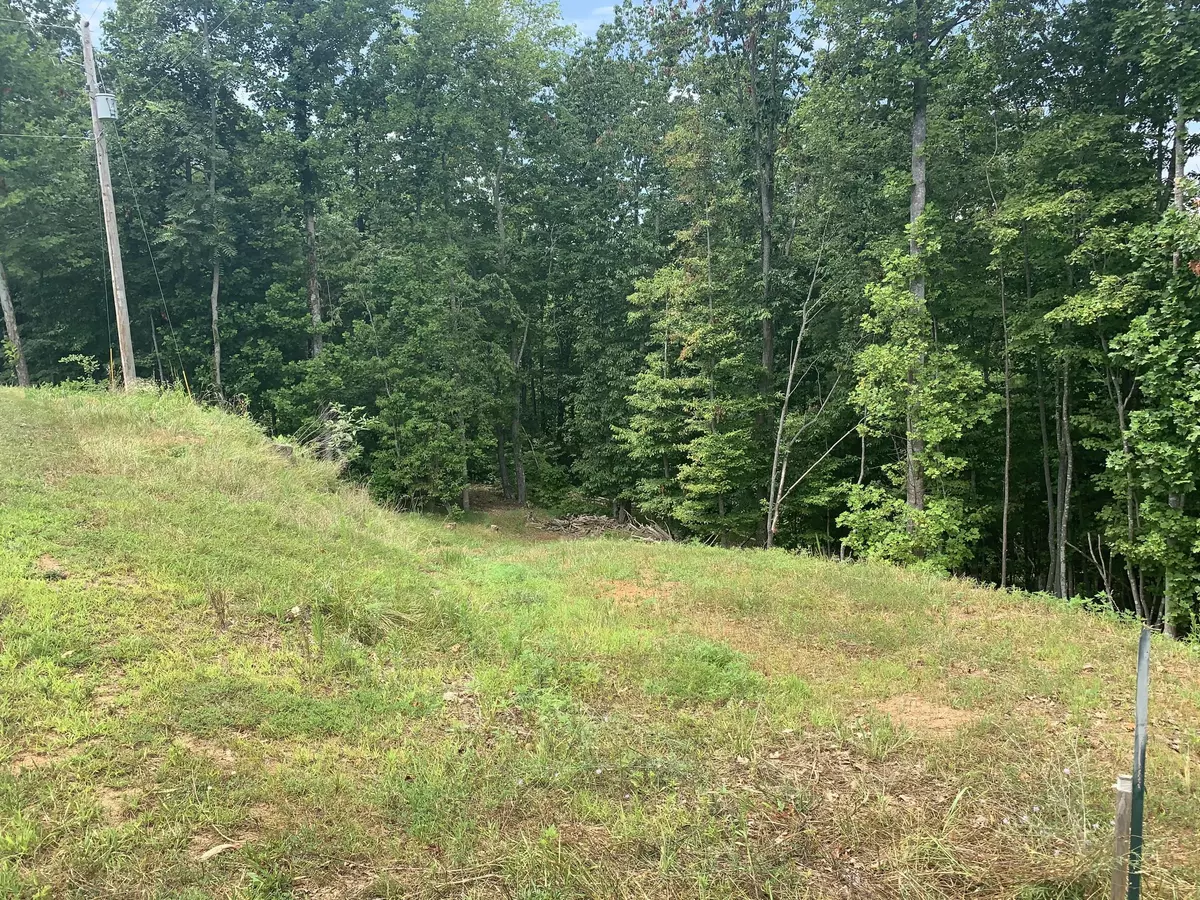 Rocky Mount, VA 24151,Lot 14 Mountain Top DR