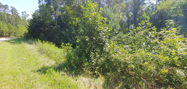 Moneta, VA 24121,Lot 3 Bridgewater LN