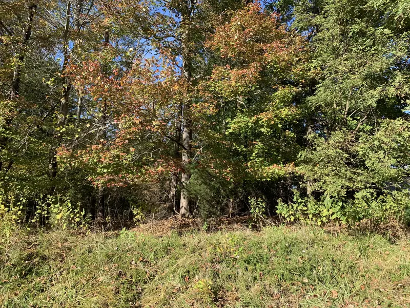 Lot 75 North Church DR, Hardy, VA 24101