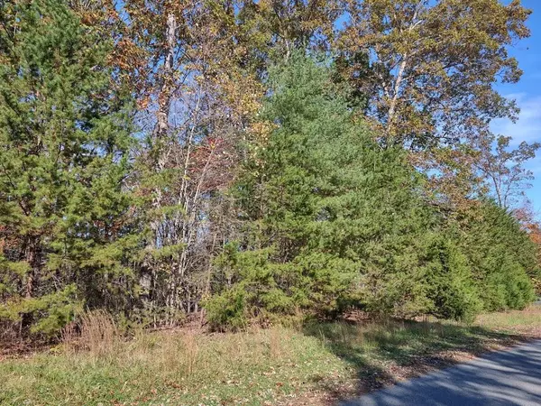 Rocky Mount, VA 24151,Lot 12 Woods Edge DR