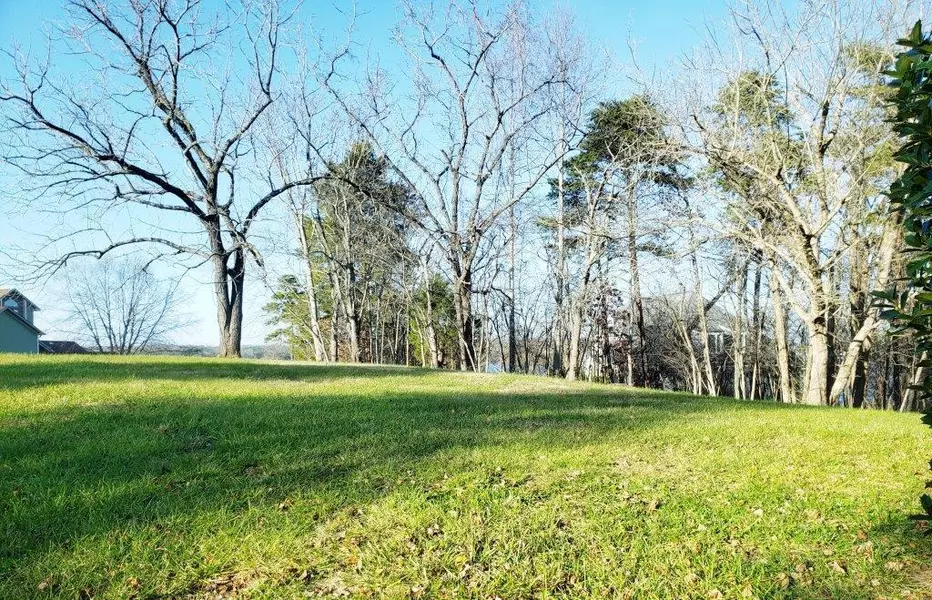 Lot 48 Pine Bay DR, Union Hall, VA 24176