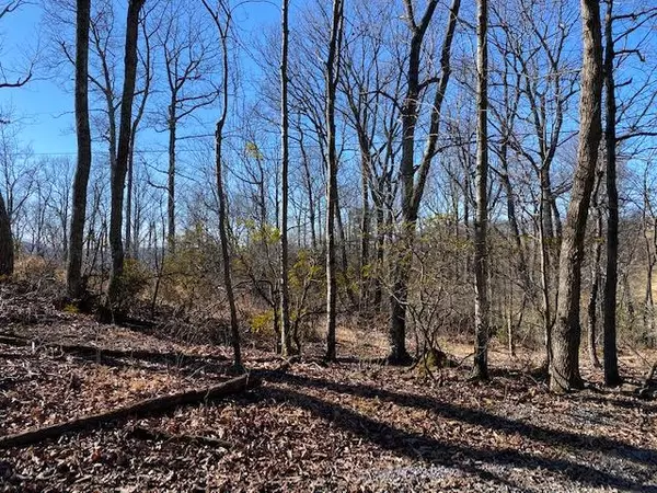 Blue Ridge, VA 24064,Lot 5 Fosters Knob RD