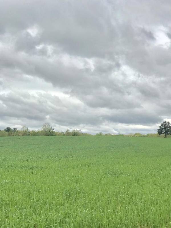 Lot 5B Morningwood LN,  Wirtz,  VA 24184