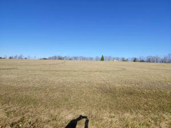 Hardy, VA 24101,LOT 11 EDWARDSVILLE RD