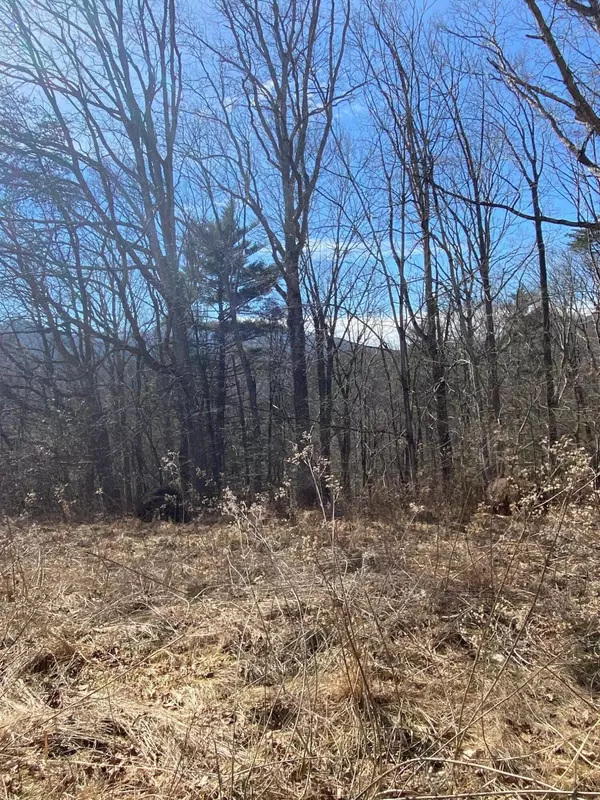 Vinton, VA 24179,Lot 28 River Rock RD