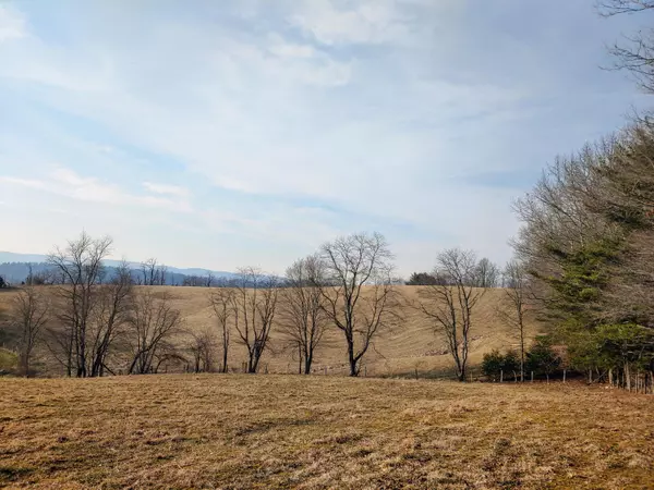 Willis, VA 24380,TBD Indian Valley Post Office RD