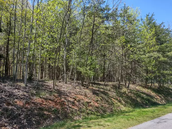 Glade Hill, VA 24092,Lot 51 Lake View Pt