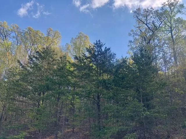 Lot 14 Autumnwood LN, Troutville, VA 24175