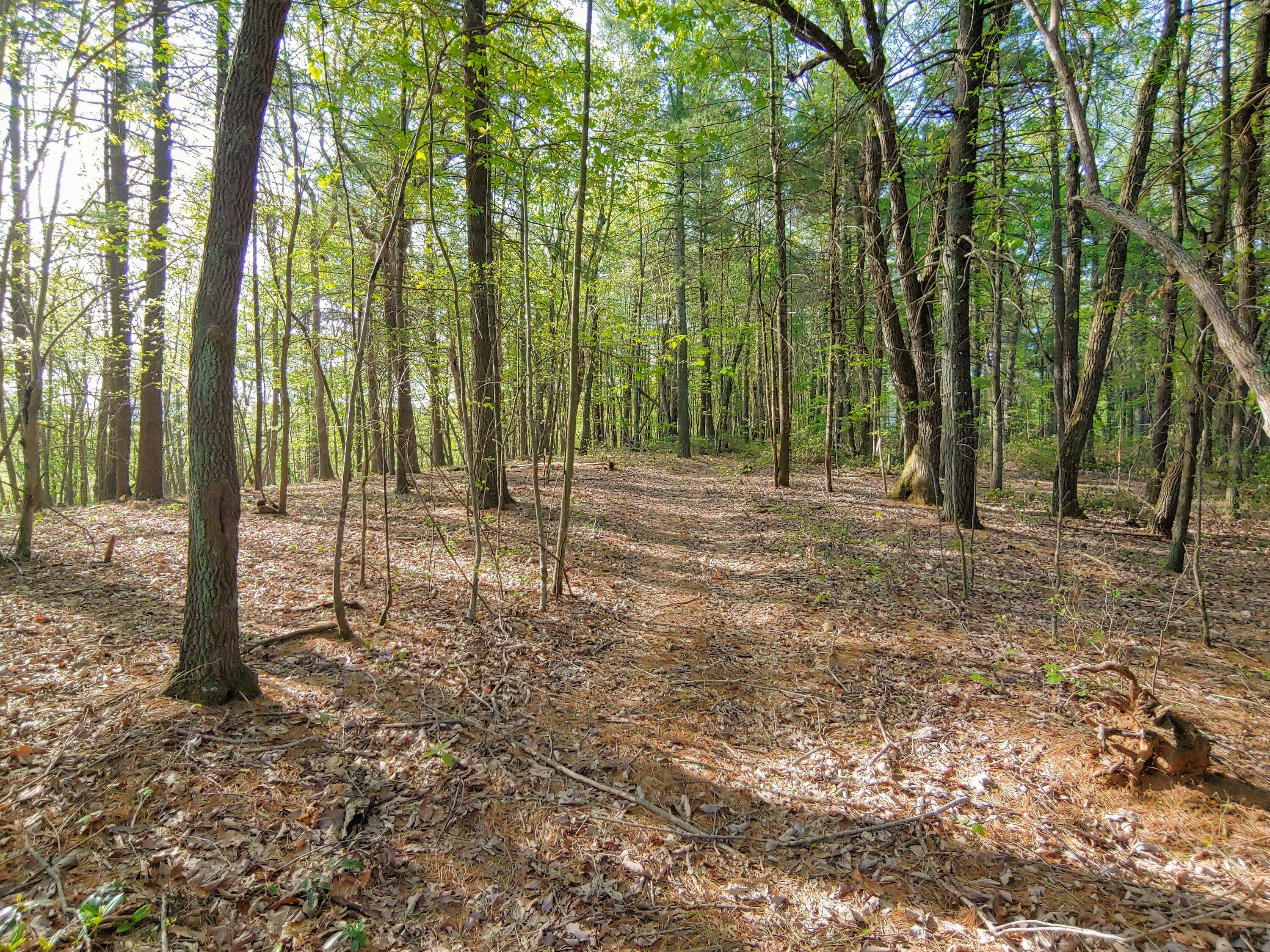 0 Dusty Hill DR, Ferrum, VA 24088