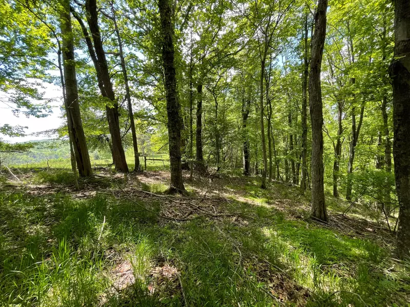 Lot 2 Laurel Creek RD NE, Pilot, VA 24138