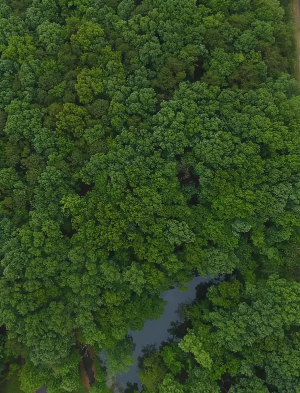 Salem, VA 24153,1607 HIGH ST EXT