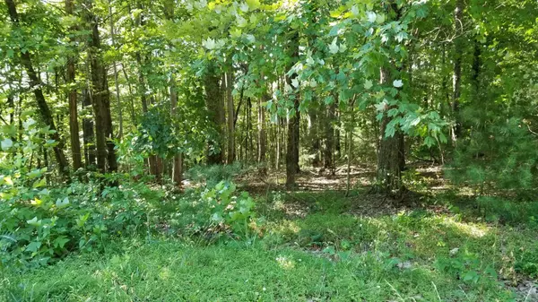 Tract 25 WALNUT GROVE DR, Callaway, VA 24067