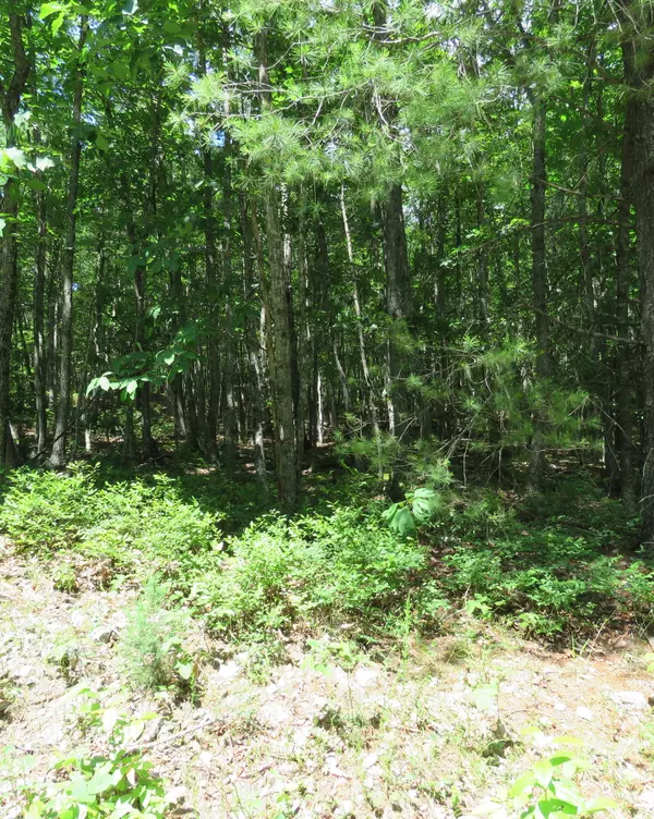 New Castle, VA 24127,Lot 1 Galax RD