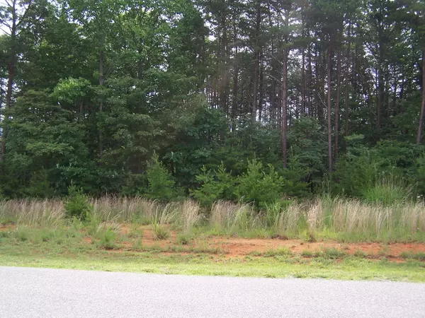 Blue Ridge, VA 24064,Lot 42 Thornblade WAY