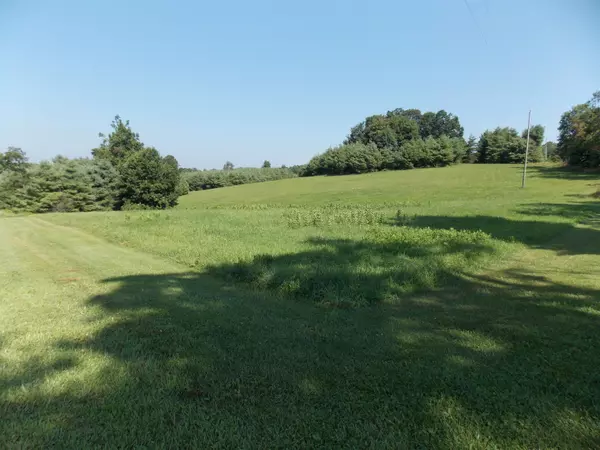 Floyd, VA 24091,0 ROBERSON MILL RD SE