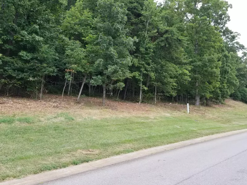 LOT 8 SUMMIT DR, Rocky Mount, VA 24151