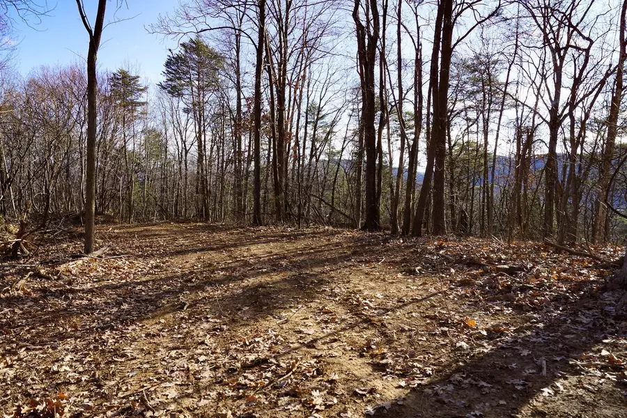 Lot 11 Grandview DR, Troutville, VA 24175