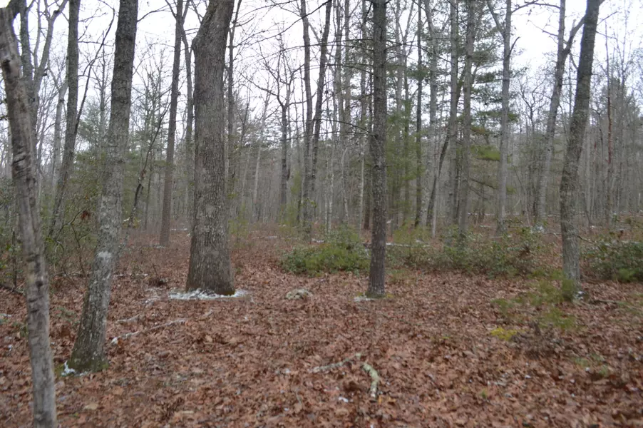 Lot 16 Potts Mountain TRL, New Castle, VA 24127