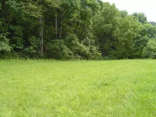 Boones Mill, VA 24065,0 Circle Creek DR