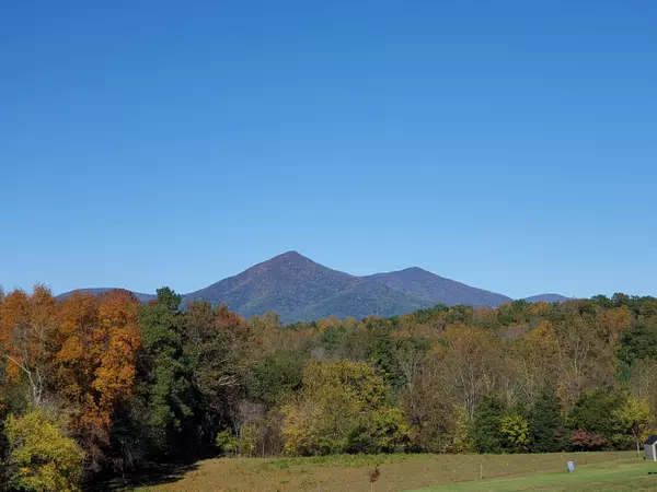 Thaxton, VA 24174,2455 Union Church RD