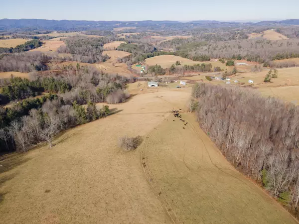 Willis, VA 24380,11420 Floyd Pike