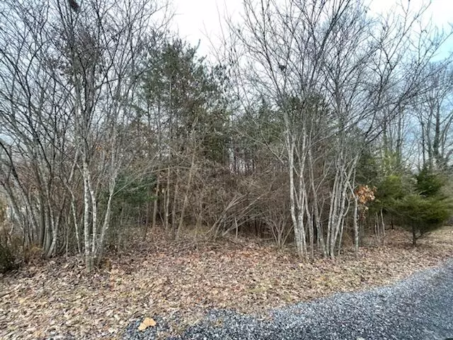 Moneta, VA 24121,Lot 49 Overlook CIR