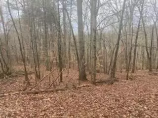 Moneta, VA 24121,Lot 50 Bearmount CT