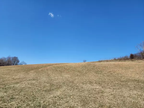 Boones Mill, VA 24065,0 Taylors RD
