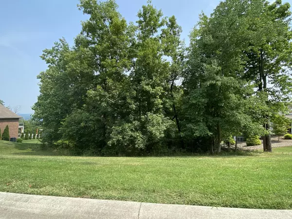 Rocky Mount, VA 24151,LOT 50 SUMMIT DR