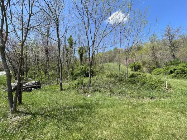 0 Blacksburg RD, Catawba, VA 24070