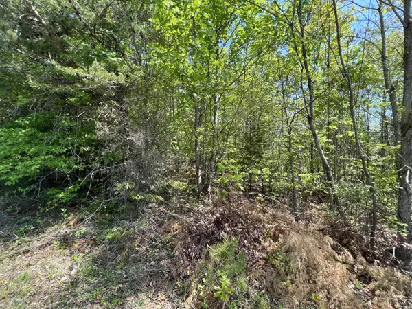 Moneta, VA 24121,Lot 1 Buccaneer RD