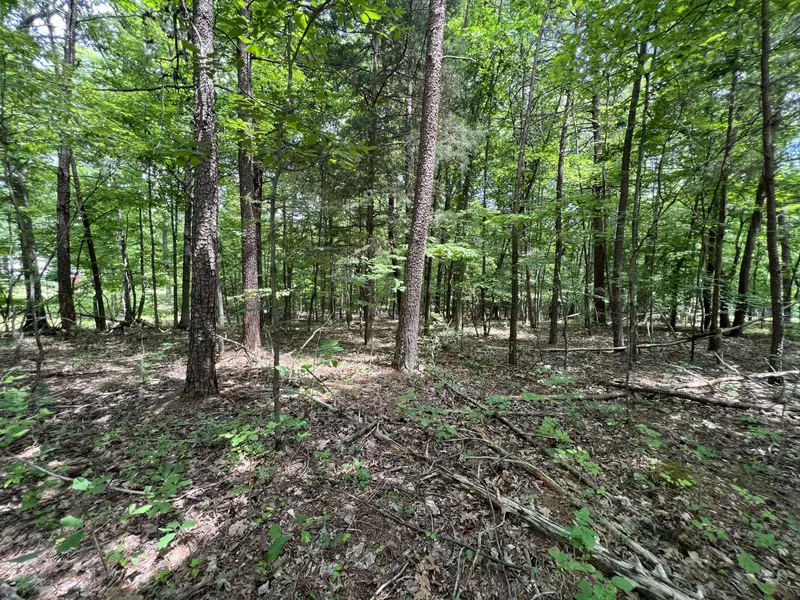 Lot 5 Buccaneer RD, Moneta, VA 24121